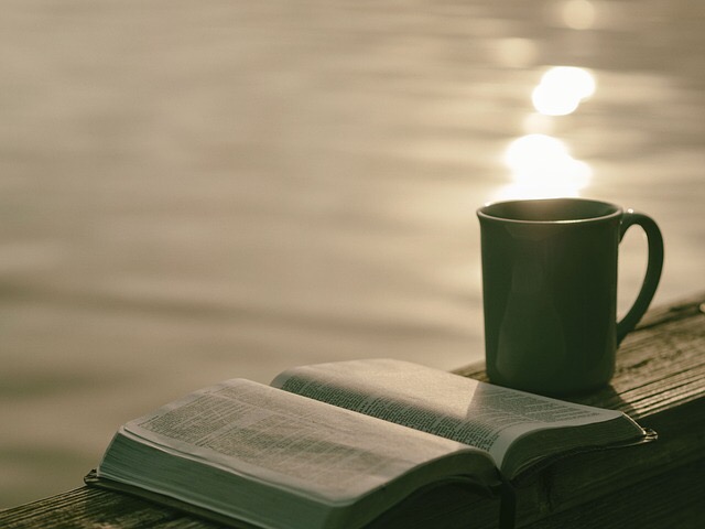 時間がなくて読書ができない人にオススメな本の読み方